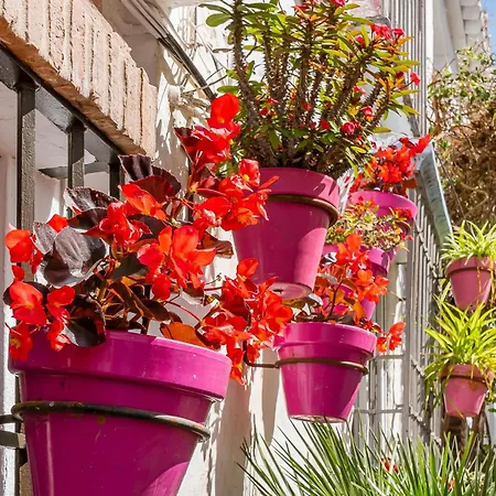 Casa Rosamar Oldtown Lejlighed Estepona